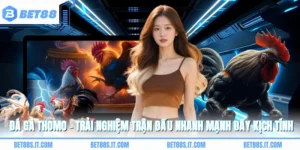 Đá Gà Thomo - Trải Nghiệm Trận Đấu Nhanh Mạnh Đầy Kịch Tính