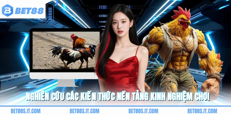 Nghiên cứu các kiến thức nền tảng kinh nghiệm chơi